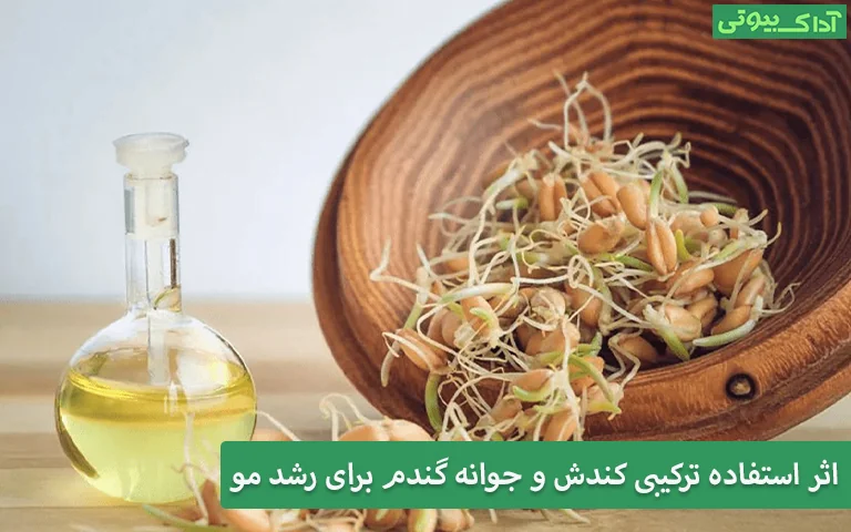 اثر استفاده ترکیبی کندش و جوانه گندم برای رشد مو